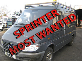 Most Wanted Sprinter